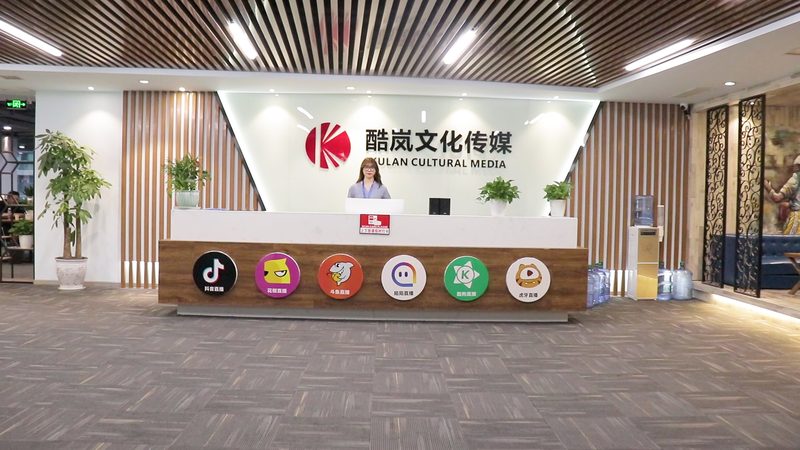 MG动画报价单模板：揭秘其格式与关键要素