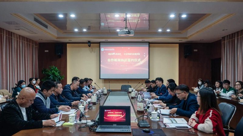 MG动画与Flash：揭秘两者之间的差异与运用